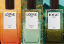 Top 3 mùi hương Elixir đình đám trong bộ sưu tập Landscape của Loewe